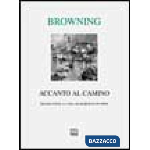 Accanto al camino e altre poesie