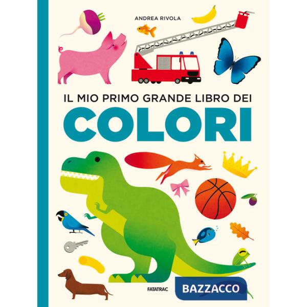 Mio primo grande libro dei colori. Ediz. a colori (Il)