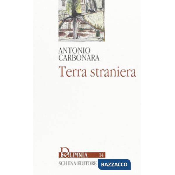 Terra straniera