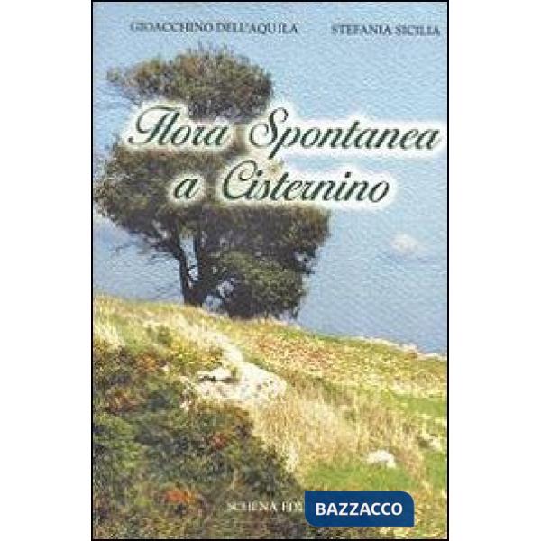 Flora spontanea a Cisternino
