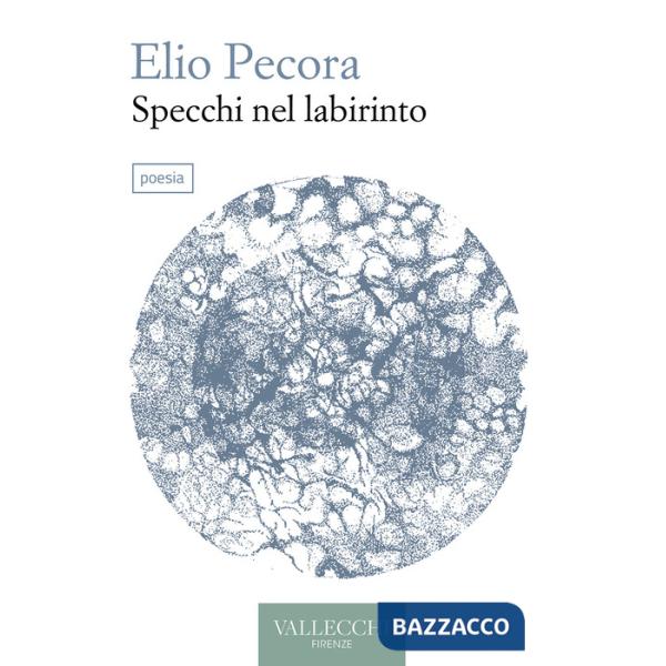 Specchi nel labirinto