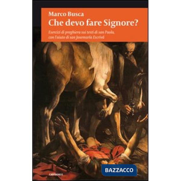 Che devo fare Signore? Esercizi di preghiera sui testi di san Paolo, con l'aiuto