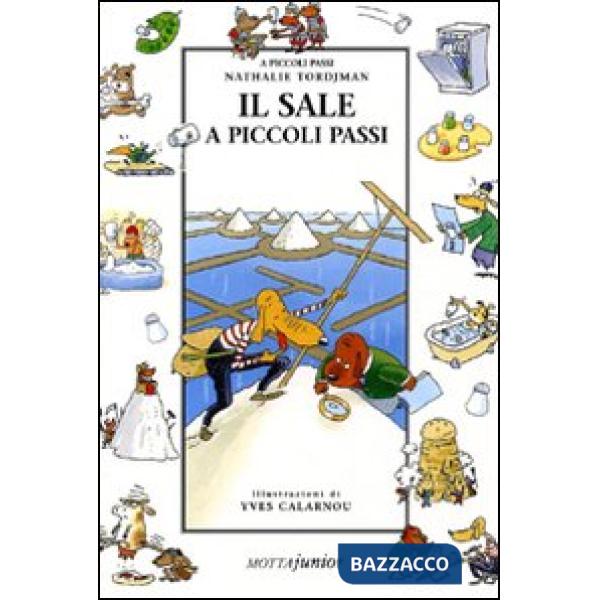 Sale a piccoli passi (Il)