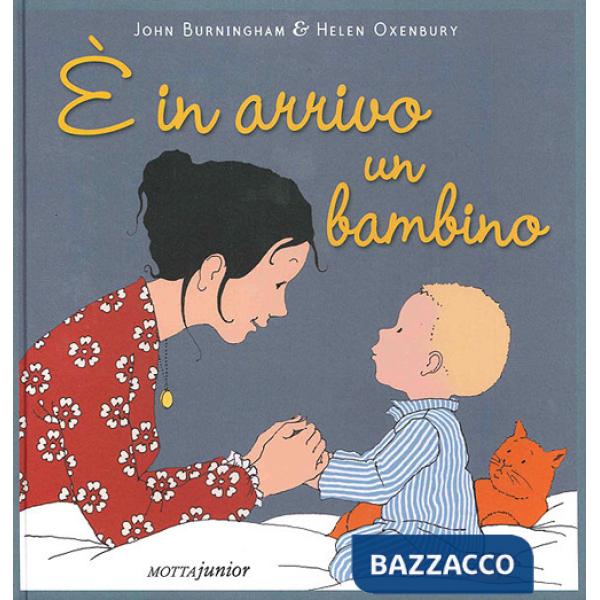È in arrivo un bambino. Ediz. illustrata