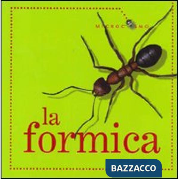 Formica (La)