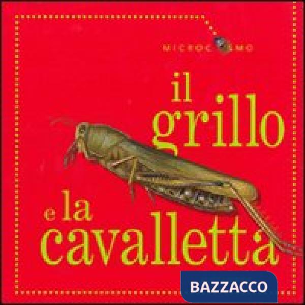 Grillo e la cavalletta (Il)