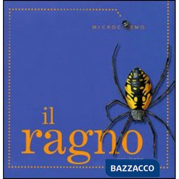 Ragno (Il)