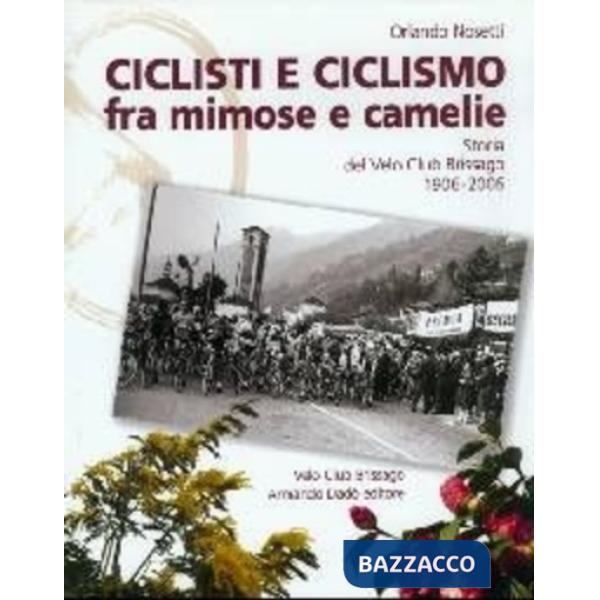 Alla ricerca dello sviluppo. La politica economica nel Ticino (1873-1953). Aspetti cantonali e regionali