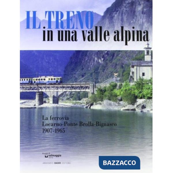 Treno in una valle alpina. Ediz. illustrata (Il)
