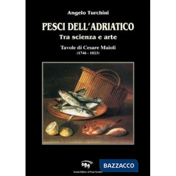 Pesci dell'Adriatico. Tra scienza e arte