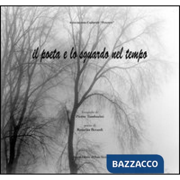Poeta e lo sguardo nel tempo (Il)