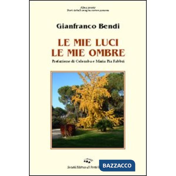 Mie luci le mie ombre (Le)