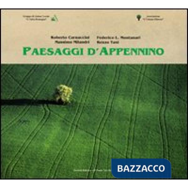 Paesaggi d'Appenino. Ediz. illustrata