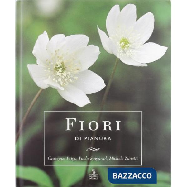 Fiori di pianura