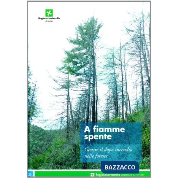 A fiamme spente. Gestire il dopo incendio nelle foreste