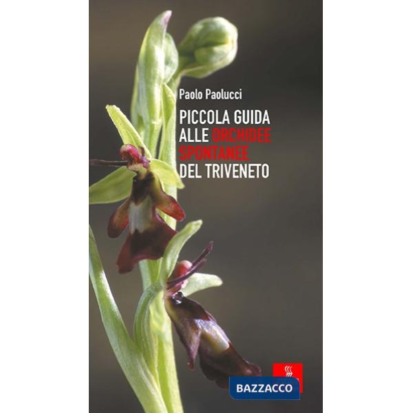 Piccola guida alle orchidee spontanee del Triveneto