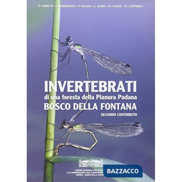 Invertebrati di una foresta nella pianura padana. Bosco della fontana