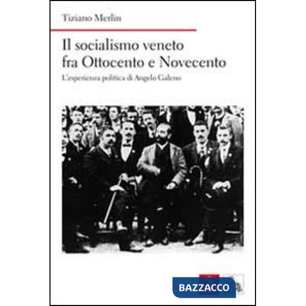 Socialismo veneto fra Ottocento e Novecento. L'esperienza politica di Angelo Gal