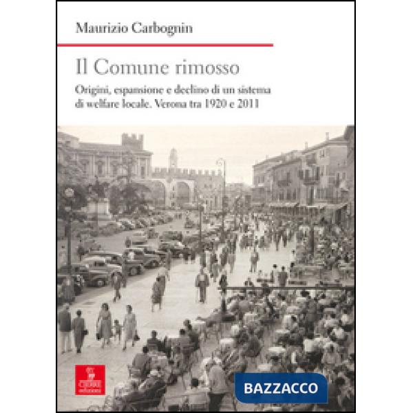 Comune rimosso. Origini, espansione e declino di un sistema di welfare locale. V