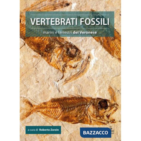 Vertebrati fossili marini e terrestri del Veronese