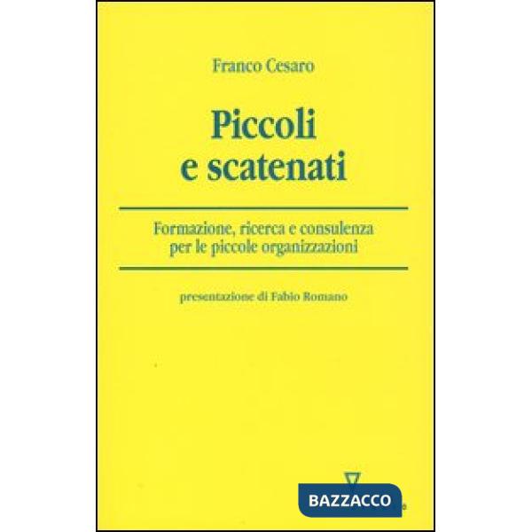 Piccoli e scatenati. Formazione, ricerca e consulenza per le piccole organizzazioni
