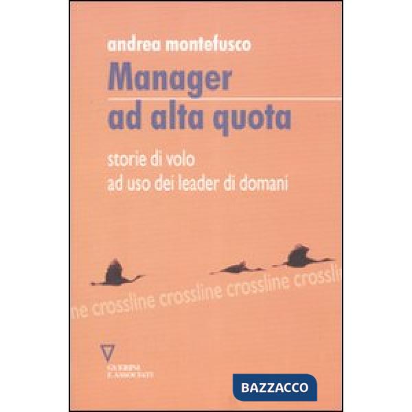 Manager ad alta quota. Storie di volo ad uso dei leader di domani