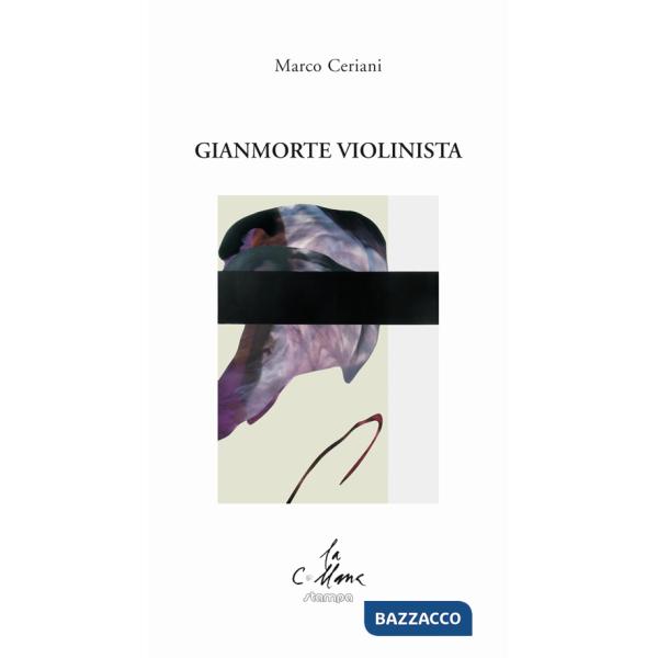 Gianmorte violinista