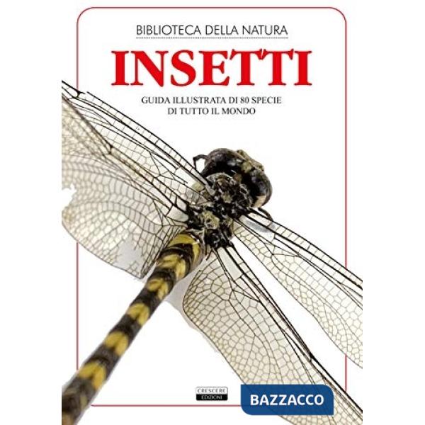 INSETTI. GUIDA ILLUSTRATA DI 80 SPECIE DI TUTTO IL MONDO