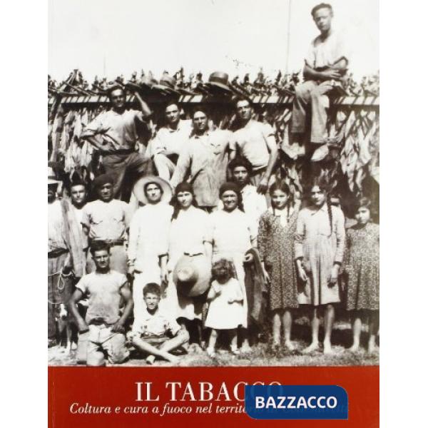 Tabacco. Coltura e cura a fuoco nel territorio di Collesalvetti (Il)