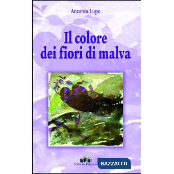 Colore dei fiori di malva (Il)