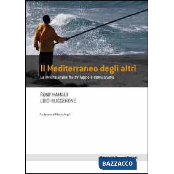 Mediterraneo degli altri. Le rivolte arabe fra sviluppo e democrazia (Il)