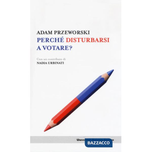 Perché disturbarsi a votare?