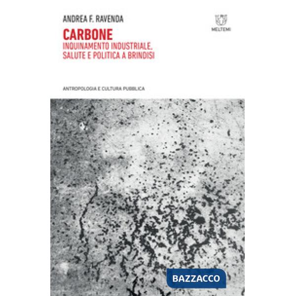 Carbone. Inquinamento industriale, salute e politica a Brindisi