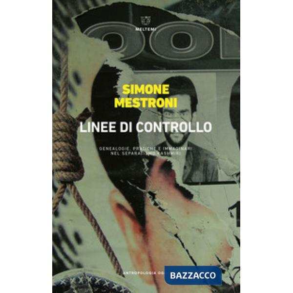 Linee di controllo. Genealogie, pratiche e immaginari del separatismo kashmiri