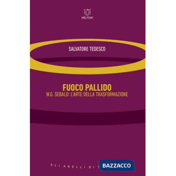 Fuoco pallido. W.G. Sebald: l'arte della trasformazione