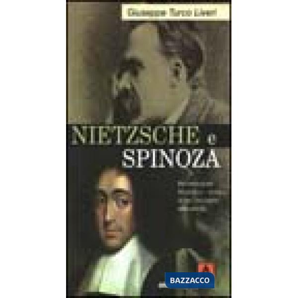 Nietzsche e Spinoza. Ricostruzione filosofico-storica di un incontro impossibile