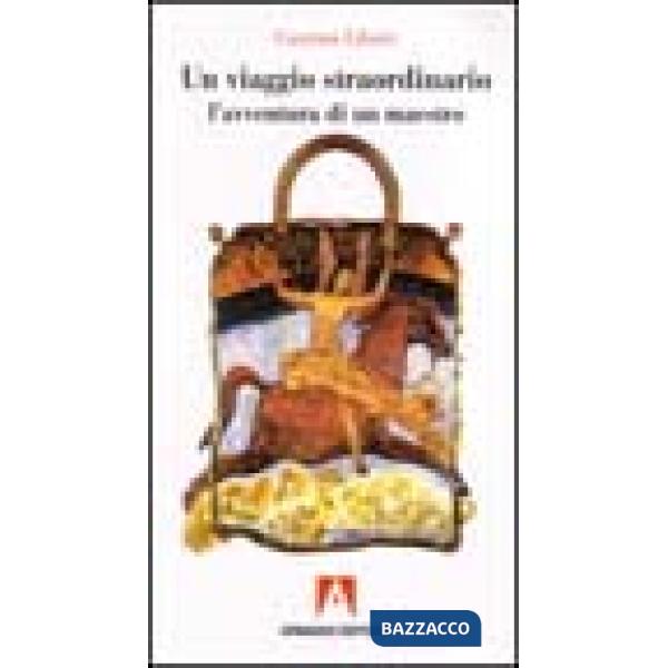 Viaggio straordinario. L'avventura di un maestro (Un)