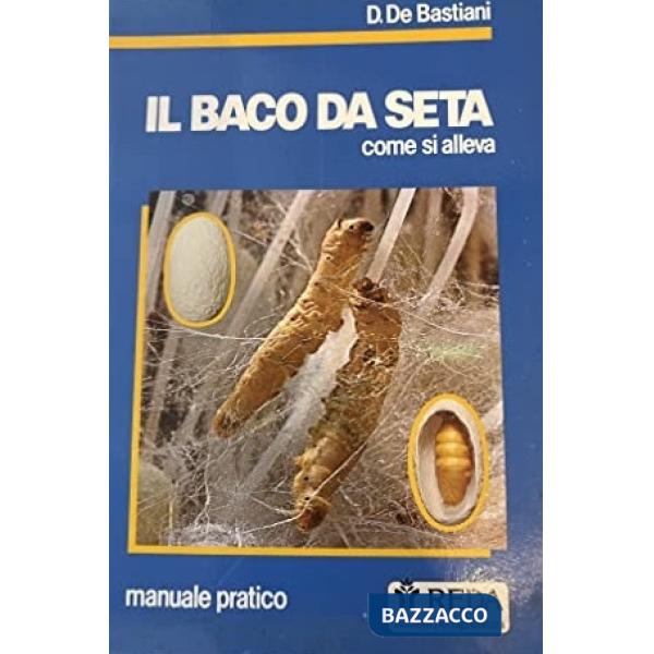 Baco da seta