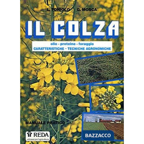 Il colza