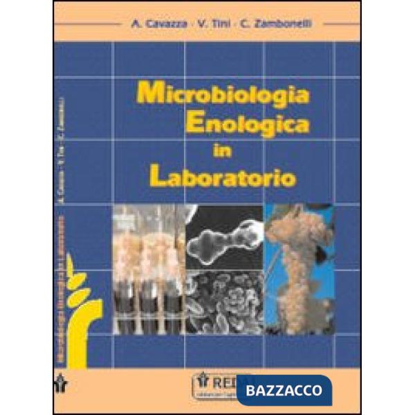 MICROBIOLOGIA ENELOGICA IN LABORATORIO