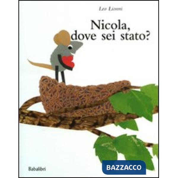 Nicola, dove sei stato? Ediz. illustrata