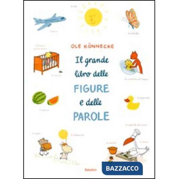Grande libro delle figure e delle parole. Ediz. illustrata (Il)