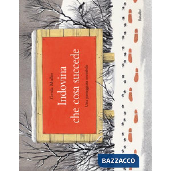 Indovina che cosa succede. Una passeggiata invisibile. Ediz. a colori