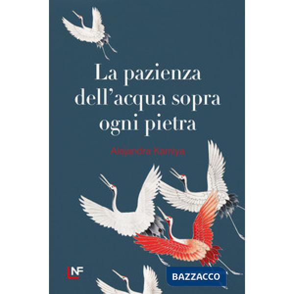 Pazienza dell'acqua sopra ogni pietra (La)