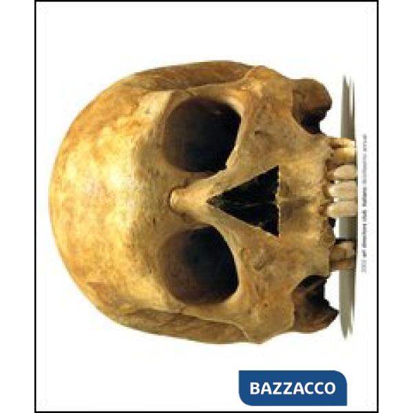 Annual Art directors club italiano (2003). Ediz. illustrata. Vol. 18