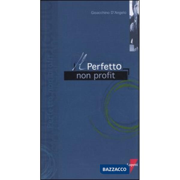 Perfetto non profit (Il)