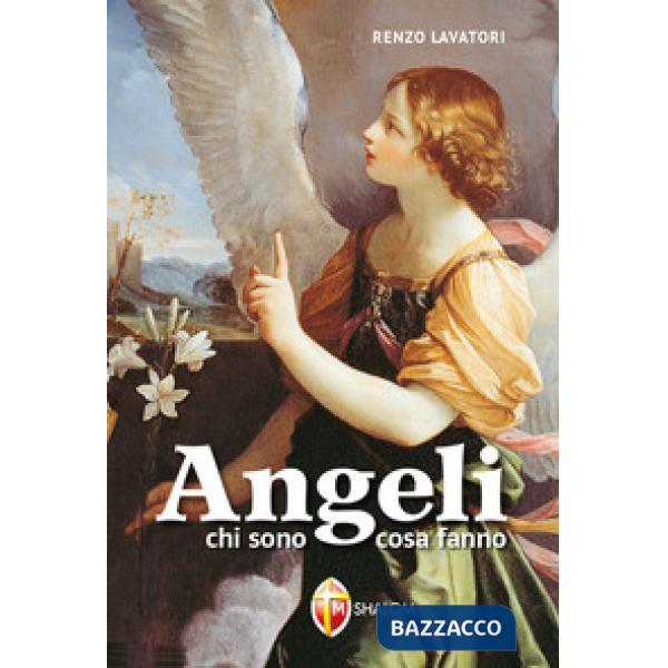 Angeli chi sono, cosa fanno