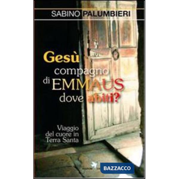 Gesù compagno di Emmaus dove abiti? Viaggio del cuore in Terra Santa