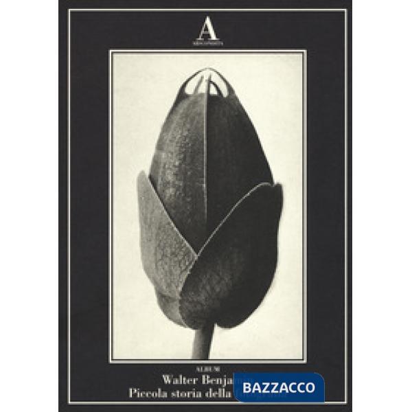 Piccola storia della fotografia. Ediz. illustrata