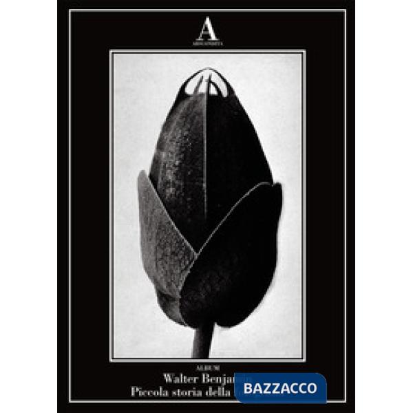 Piccola storia della fotografia. Ediz. illustrata